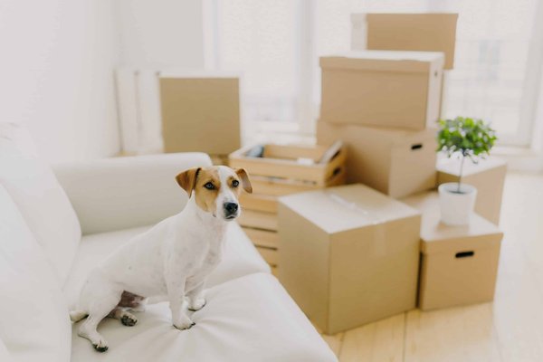 Quel est le rôle de l'ergonomie dans la conception des sièges des vestiaires pour optimiser la récupération des joueurs?